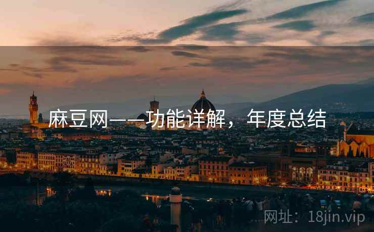 麻豆网——功能详解，年度总结
