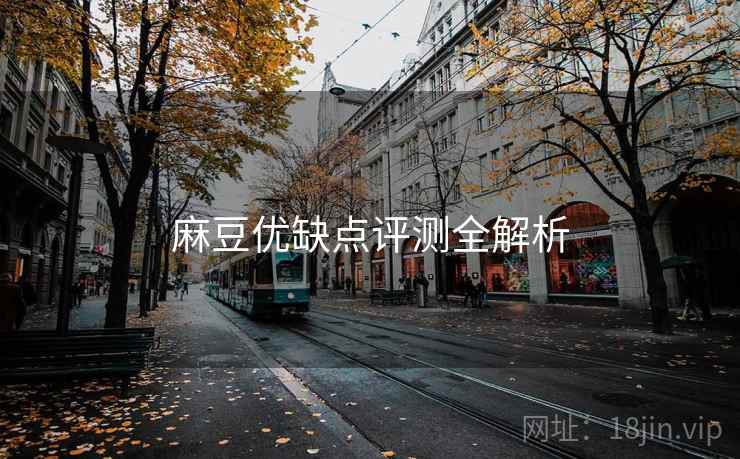 麻豆优缺点评测全解析