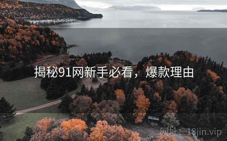 揭秘91网新手必看，爆款理由