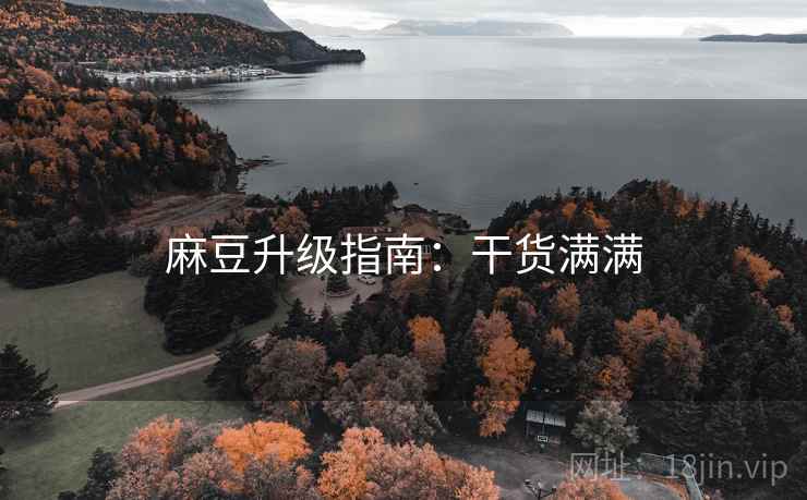麻豆升级指南：干货满满