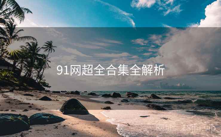 91网超全合集全解析