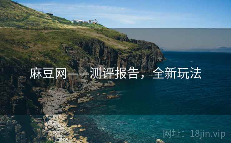 麻豆网——测评报告，全新玩法