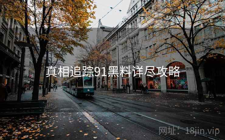 真相追踪91黑料详尽攻略