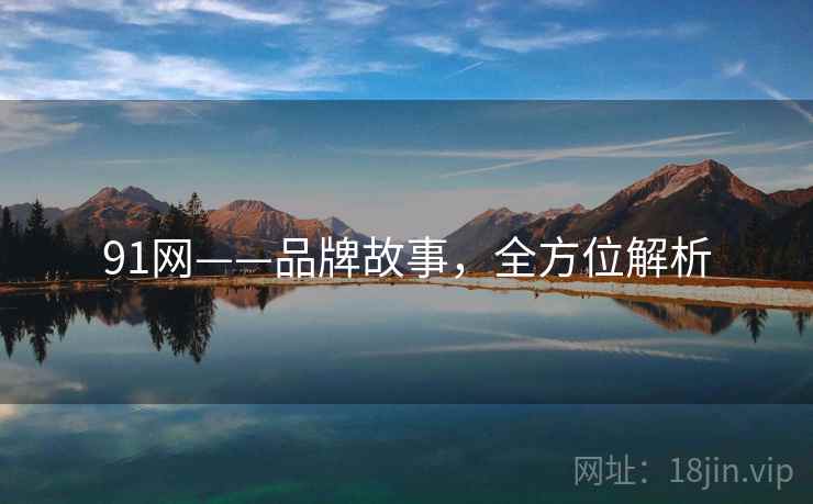 91网——品牌故事，全方位解析
