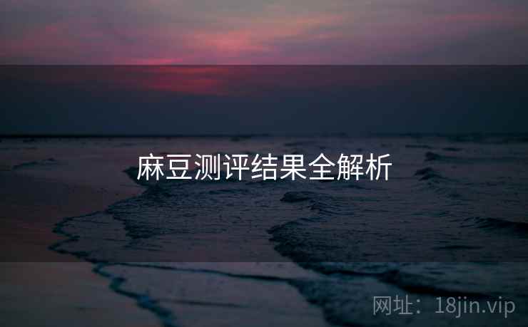 麻豆测评结果全解析