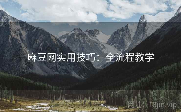 麻豆网实用技巧：全流程教学