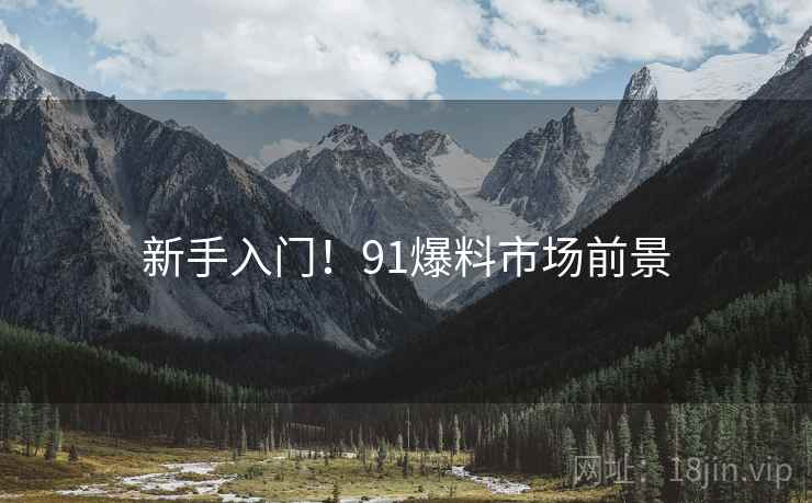 新手入门！91爆料市场前景